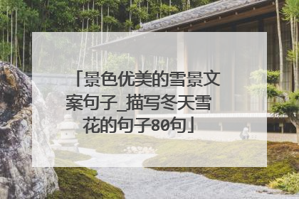 景色优美的雪景文案句子_描写冬天雪花的句子80句