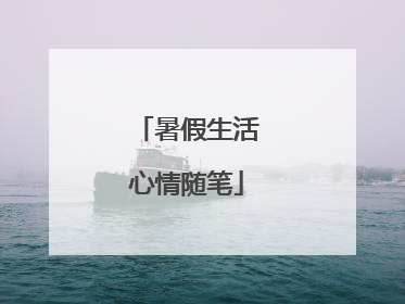 暑假生活心情随笔