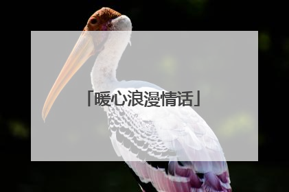 暖心浪漫情话