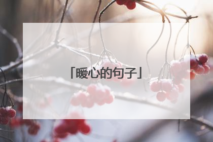暖心的句子
