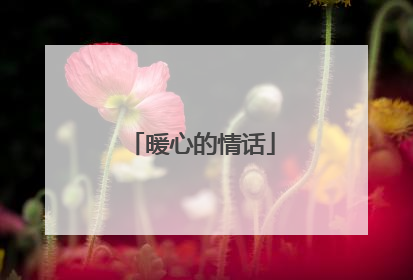 暖心的情话