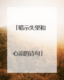 暗示失望和心凉的诗句
