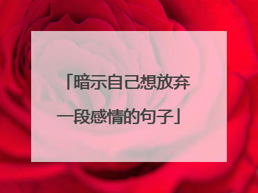 暗示自己想放弃一段感情的句子