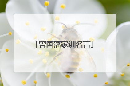 曾国藩家训名言