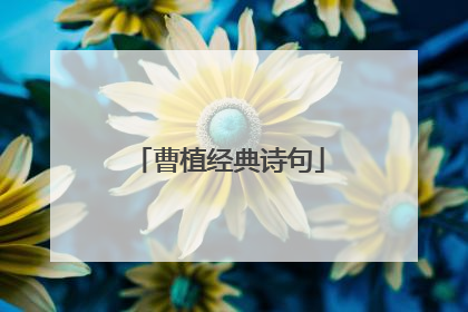 曹植经典诗句
