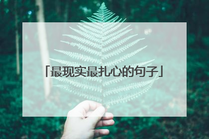 最现实最扎心的句子