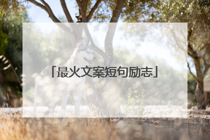 最火文案短句励志
