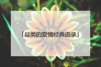 最美的爱情经典语录