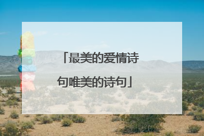 最美的爱情诗句唯美的诗句