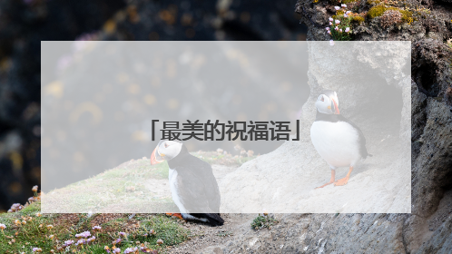 最美的祝福语