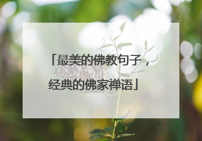 最美的佛教句子,经典的佛家禅语