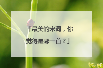 最美的宋词,你觉得是哪一首?