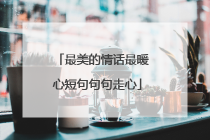 最美的情话最暖心短句句句走心