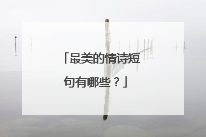 最美的情诗短句有哪些?
