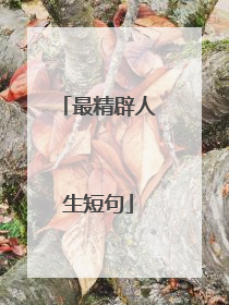 最精辟人生短句