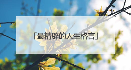 最精辟的人生格言