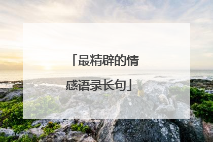 最精辟的情感语录长句