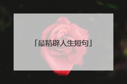 最精辟人生短句