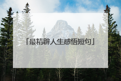 最精辟人生感悟短句