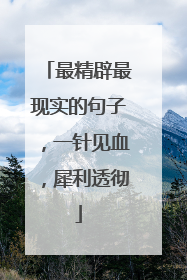 最精辟最现实的句子,一针见血,犀利透彻