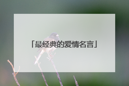 最经典的爱情名言