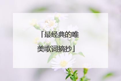 最经典的唯美歌词摘抄