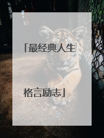 最经典人生格言励志