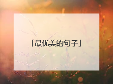 最优美的句子