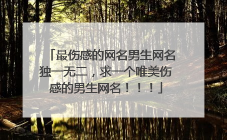最伤感的网名男生网名独一无二,求一个唯美伤感的男生网名!!!