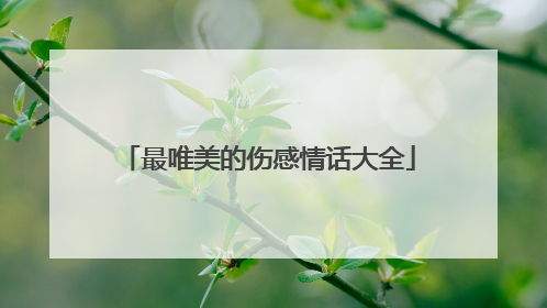 最唯美的伤感情话大全