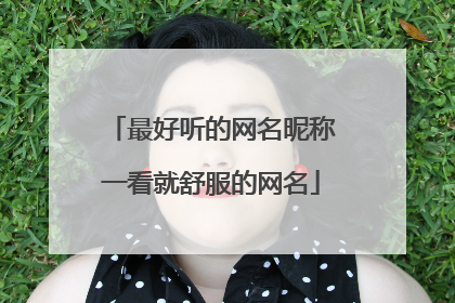 最好听的网名昵称一看就舒服的网名