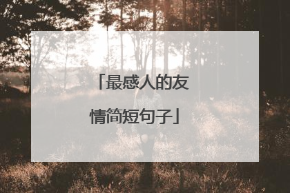 最感人的友情简短句子