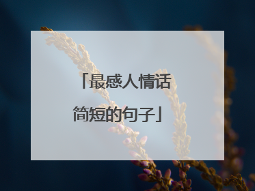 最感人情话简短的句子