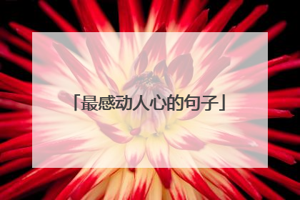 最感动人心的句子