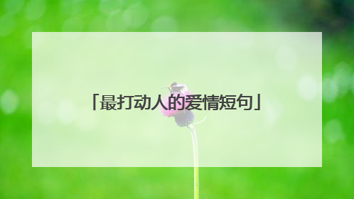 最打动人的爱情短句