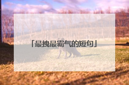 最拽最霸气的短句