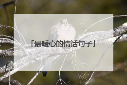最暖心的情话句子