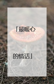 最暖心的情话