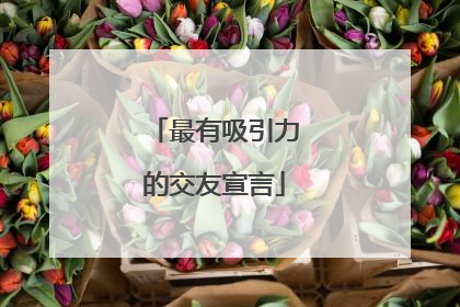 最有吸引力的交友宣言