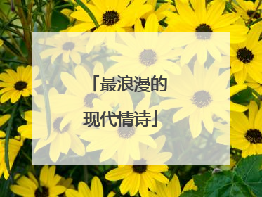 最浪漫的现代情诗