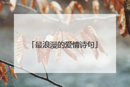 最浪漫的爱情诗句