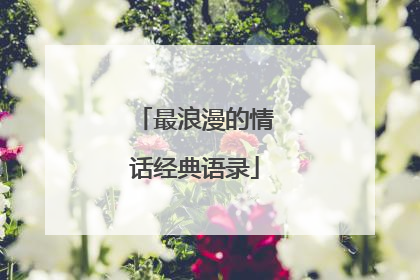 最浪漫的情话经典语录