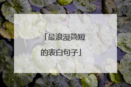 最浪漫简短的表白句子