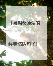 最温馨浪漫的经典情话句子