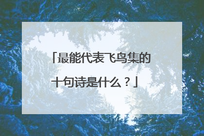 最能代表飞鸟集的十句诗是什么?