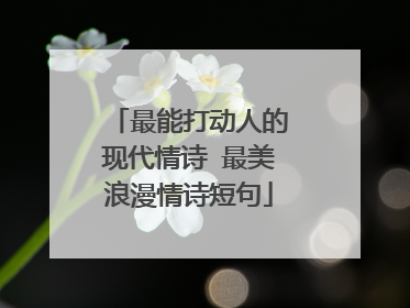 最能打动人的现代情诗 最美浪漫情诗短句