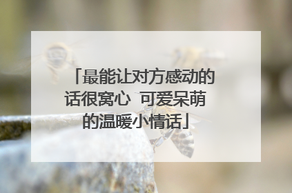 最能让对方感动的话很窝心 可爱呆萌的温暖小情话