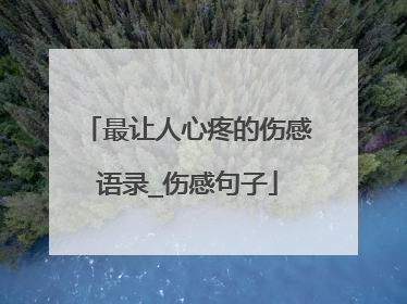 最让人心疼的伤感语录_伤感句子