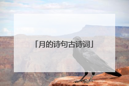 月的诗句古诗词