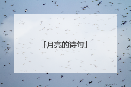 月亮的诗句